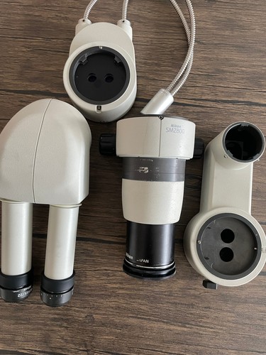 Nikon smz800 trinokular - smz800,