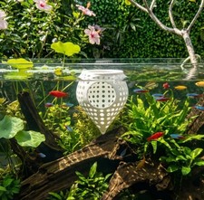 Betta Pod schwimmende Betta