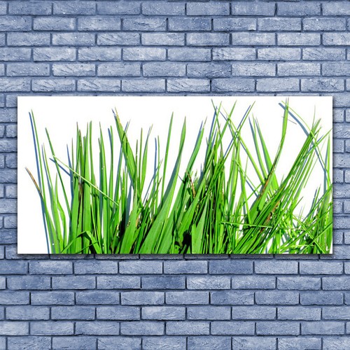 Acrylglasbilder wandbilder - acrylglasbilder,