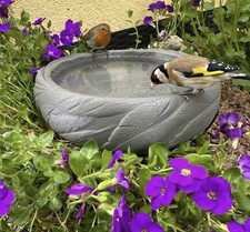 Vogeltränke vogelbad - vogeltränke,