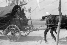 Negativ-Russland-197. Infanterie-Division-Truppenkennzeichen-Transport-2.WK-318