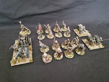 Saga Tabletop Söldner