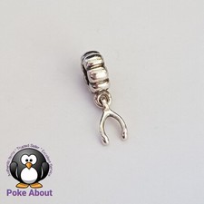 Pandora Silver Hanging