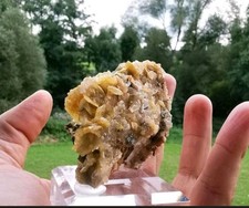 Sammlungsauflösung  Wulfenit