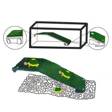 Schildkröten Terrasse