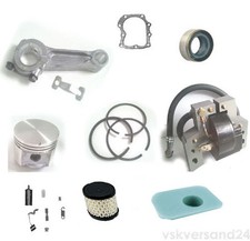 Motorteile für Briggs und Stratton 5HP 130900 130902 130903 130905 130907 130982