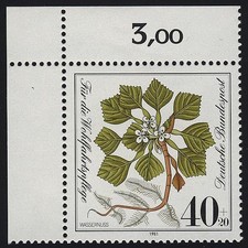 1108 Wohlfahrt Wassernuß