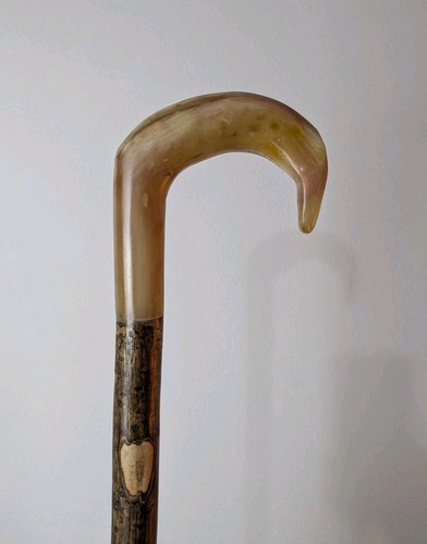 Hirten gauner widder horngriff - hirten,
