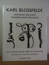 Karl Blossfeldt. Urformen der