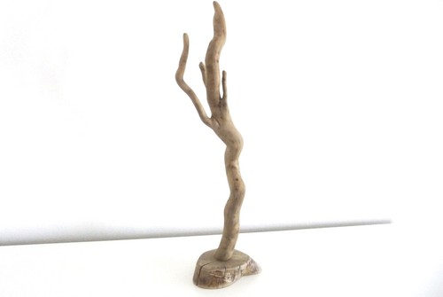 Massivholz wurzel skulptur - massivholz,