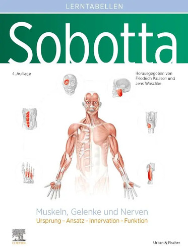 Sobotta lerntabellen anatomie - sobotta,