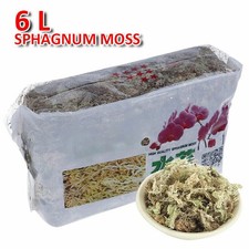 6L Für Sphagnum Moisturizing