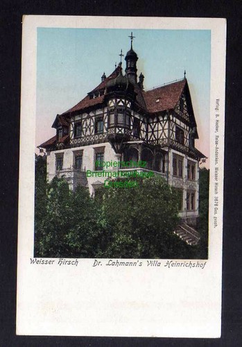 131667 dresden weißer - ak,