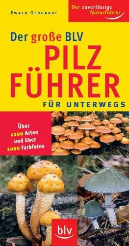 Der grosse blv pilzführer - grosse,