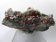 F1    Realgar, Zinkblende, Quarz, Kupferkies und Calcit aus Cavnic