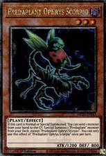 Predaplant Ophrys Scorpio