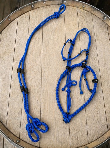 Bosal riendas azul negro - bosal,