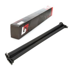 Rollo Panoramadach elektrisch