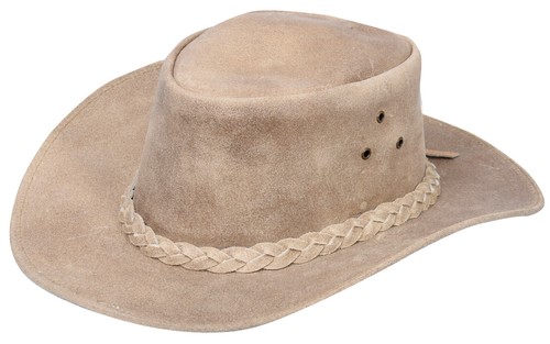 Australian camel western - camel,