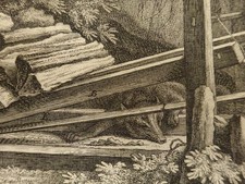 Ridinger - Brech-Falle Fuchs