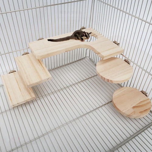 Hamster käfig plattform - hamster,