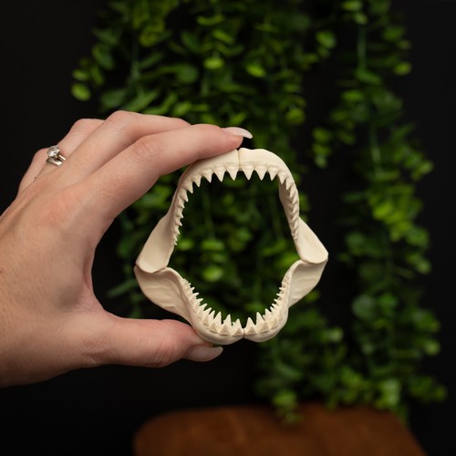 Megalodon haikiefer replik - megalodon,