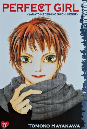 Perfect girl manga 17 - girl,