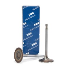 2x TRW 300100 Einlassventil Ø