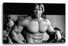 Wandbild Arnold Schwarzenegger