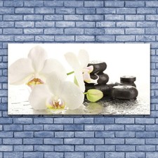 Acrylglasbilder Wandbilder