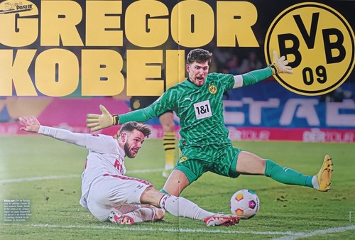 Gregor kobel a3 poster - gregor,