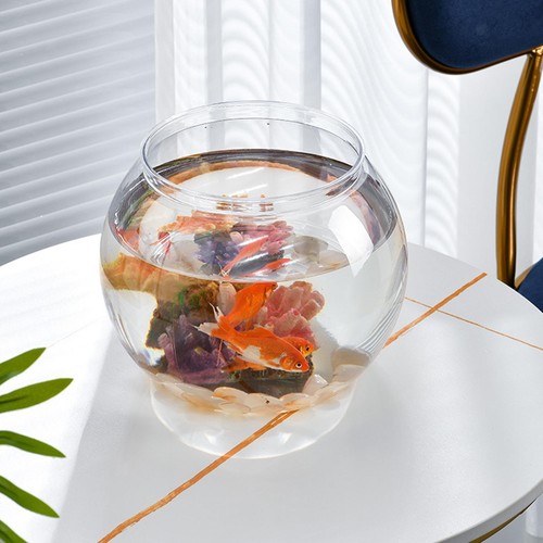 Fish bowl wasseraquarium - fish,