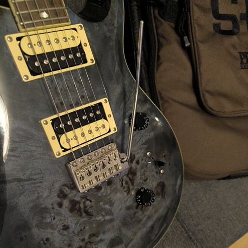 Prs custom e gitarre - 24, e-gitarre
