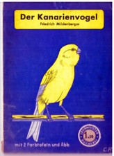 Der Kanarienvogel  -