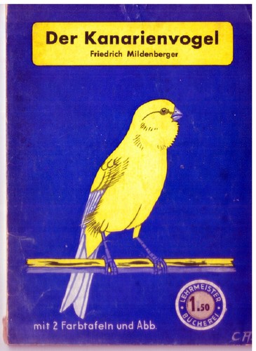 Der kanarienvogel - der,