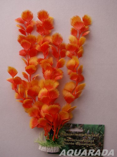 Rotala 30cm künstliche - 30cm,