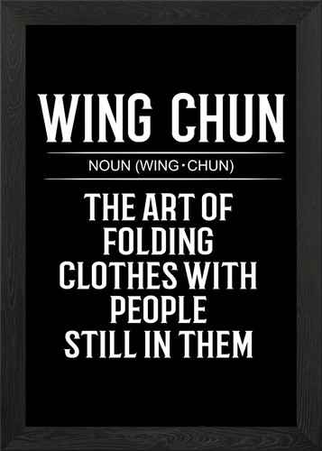 Wing chun definition - wing,