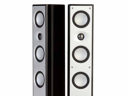 Mordaunt short alumni stereo - short,