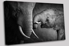 Baby Elefant und Mutter