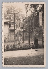 Frankfurt am Main - Zoo