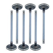 6x Auslassventil für Opel Citroen Peugeot 1.2 148037000100 9676359180