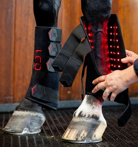 Horseware led rotlichttherapie - led,