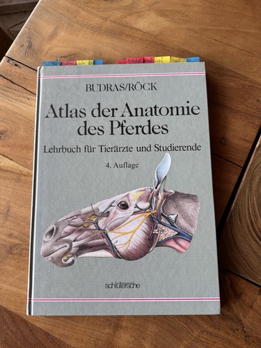 Atlas der anatomie - anatomie, pferdes
