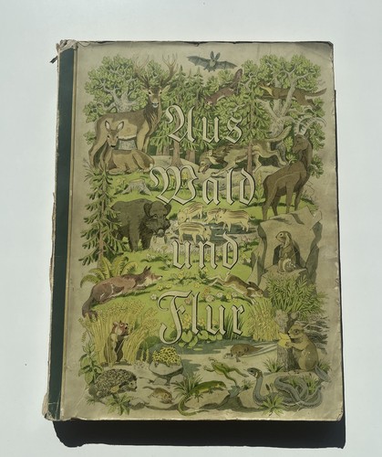 Aus wald und flur tiere - wald,