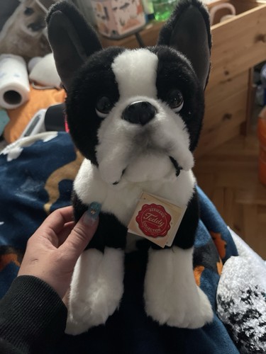 Teddy hermann boston - teddy,