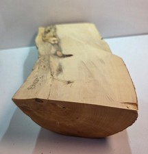 1 Halb Stamm Drechselholz