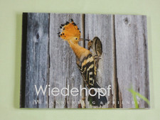 1x Postkartenbuch Wiedehopf 15