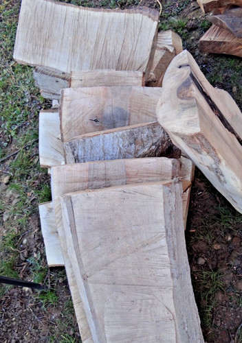 Walnussbaum holz brett bohle - walnussbaum,