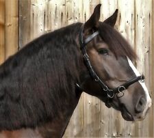 Kappzaum Leder ergonomisch  Mini Shetty S P VB WB Leder Gebisseinhänger Zaum TY