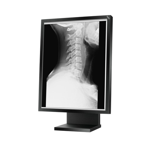 Nec md21gs 2mp - nec, lcd